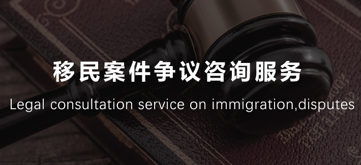 移民案件争议咨询服务